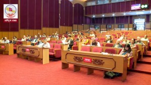 राष्ट्रिय सभामा टीआरसी विधेयक पेस
