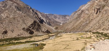 लिमी उपत्यकामा ३ वर्षसम्म जडीबुटी संकलनमा रोक